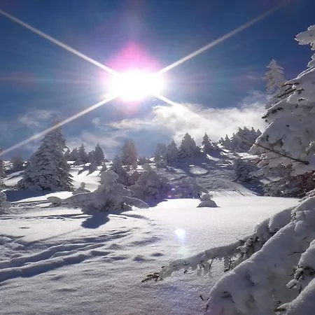 Apartament Meikl By Managers *