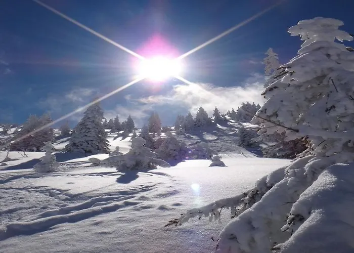 Appartamento Meikl By Managers *